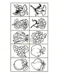 Carimbo Frutos e Flores